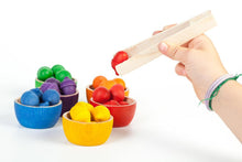 Load image into Gallery viewer, Grapat bowls and acorns sorting set