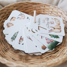 Load image into Gallery viewer, Flash cards - colours and counting
