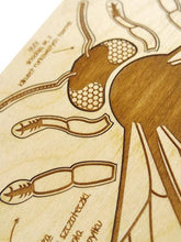 Load image into Gallery viewer, Stuka Puka busy bee wooden puzzle