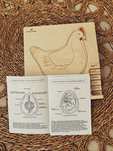 Load image into Gallery viewer, Stuka Puka chicken or the egg wooden puzzle
